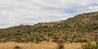 Landscape & Lodges in Northern Tanzania