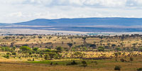 Tanzania_2012_362.jpg