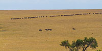 Landscape & Lodges in Northern Tanzania