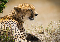 Tanzania_2012_365.jpg