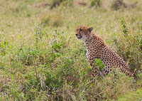 Tanzania_2012_497.jpg