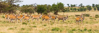 Tanzania_2012_504.jpg